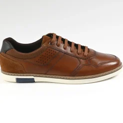 FORTUNATO Baskets Homme Marron|Homme Baskets, Sneakers