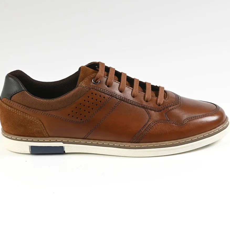 FORTUNATO Baskets Homme Marron|Homme Baskets, Sneakers