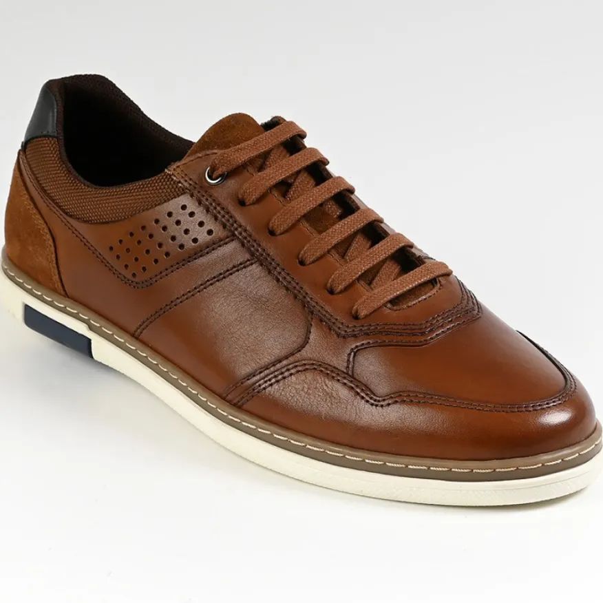 FORTUNATO Baskets Homme Marron|Homme Baskets, Sneakers