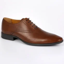 TIPO ALTO Derbies Marron|Homme Derbies, Chaussures De Ville